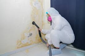 Best Comprehensive Air Testing for Mold Contaminants  in Warren, MN